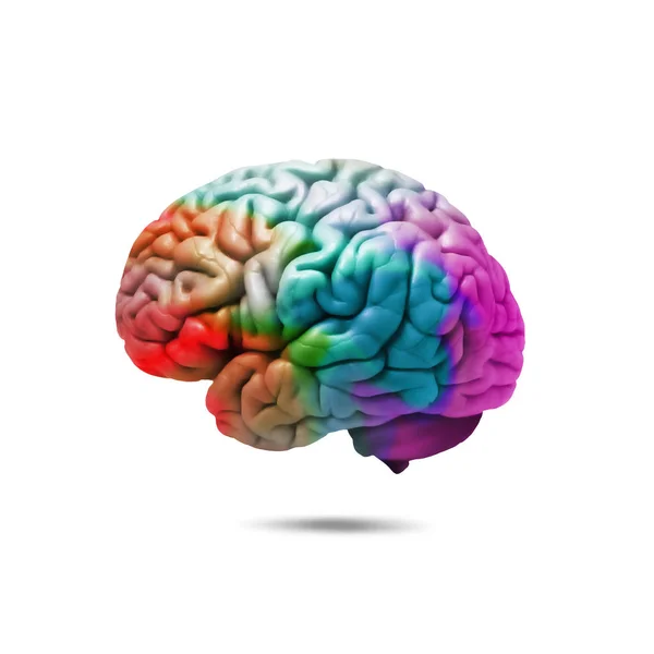 人間の脳の背景 イラスト — ストック写真
