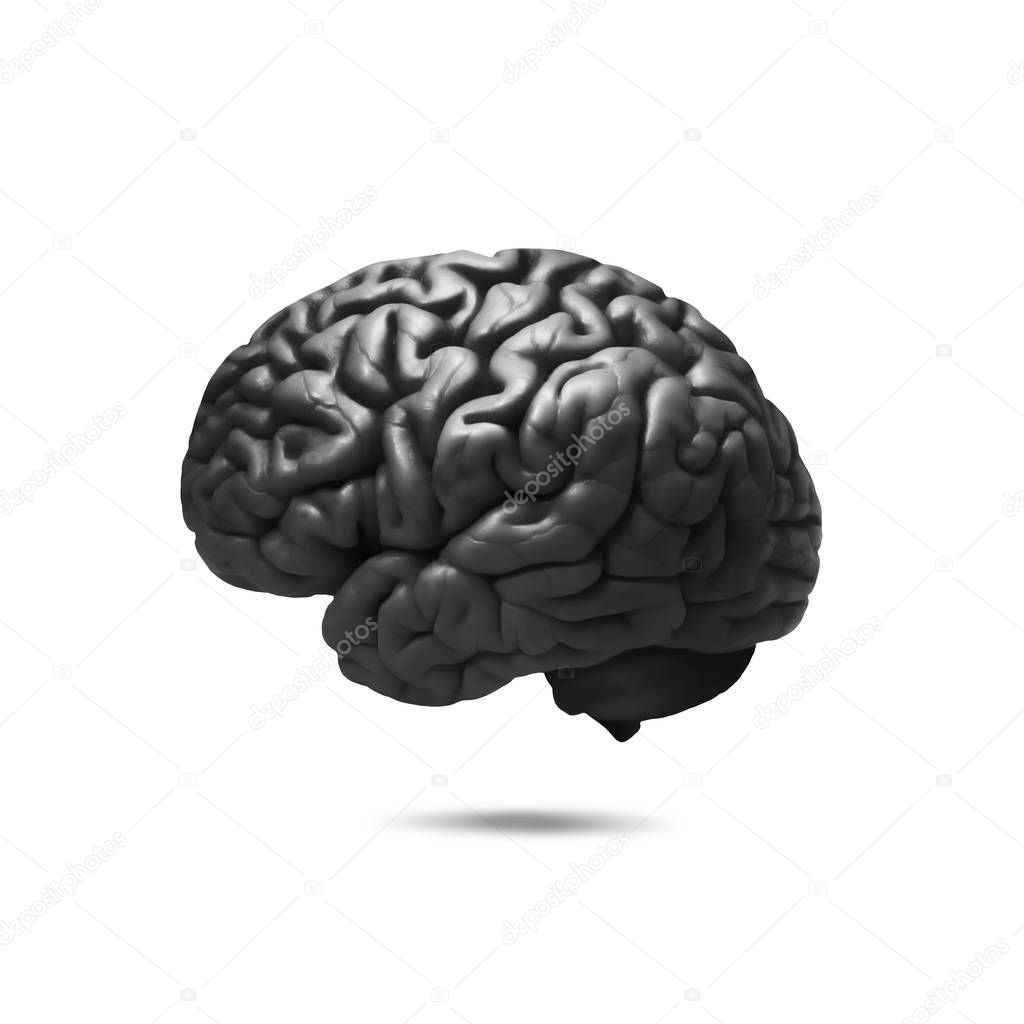  human brain background - 3D illustration