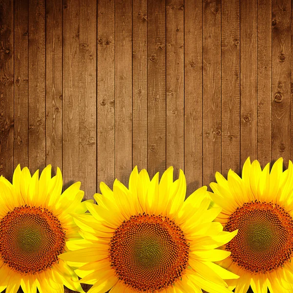 Żółte Słoneczniki Podłoże Drewniane Tekstura — Zdjęcie stockowe