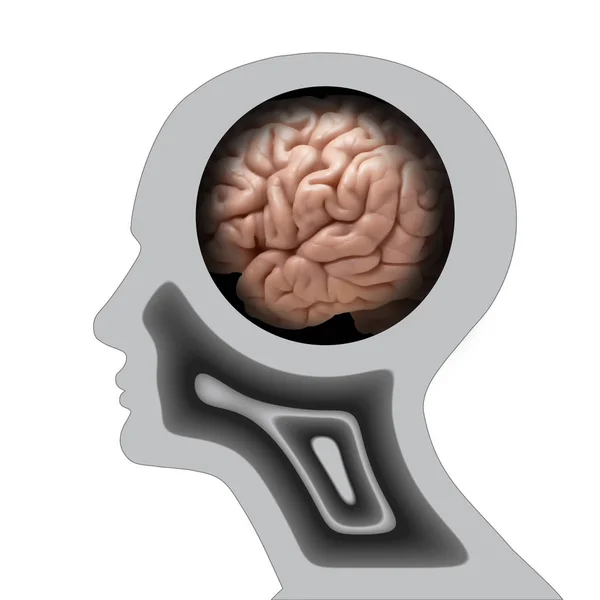 Fundo Cérebro Humano Ilustração — Fotografia de Stock