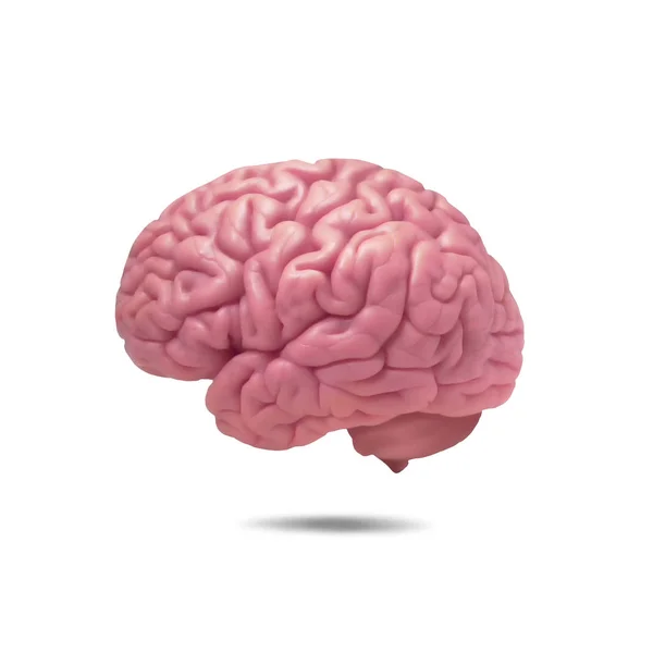  insan beyninin arka plan - 3d çizim