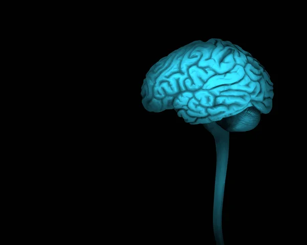 Fondo Del Cerebro Humano Ilustración — Foto de Stock