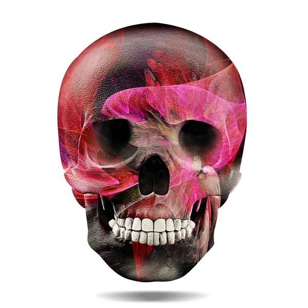 Colored Human Skull Decoration Illustration — Stock Photo, Image