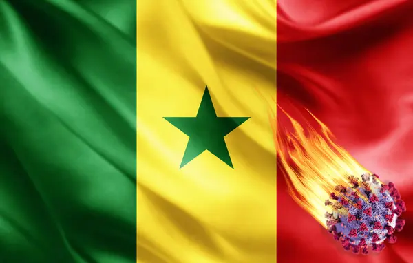 带验尸官的塞内加尔国旗 3D插图 — 图库照片