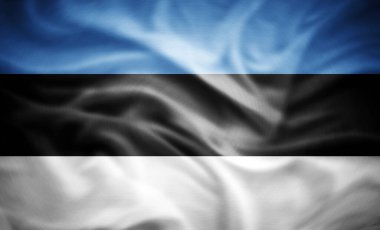 Estonya 'nın gerçekçi bayrağı, 3D illüstrasyon