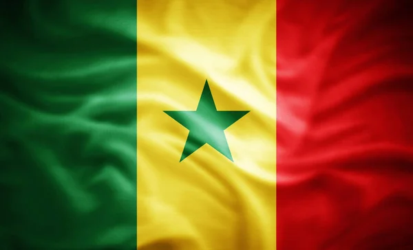 Bandiera Realistica Del Senegal Illustrazione — Foto Stock