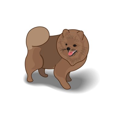 Vektör Illustration beyaz arka planda izole kabarık bir köpek. Bu sevimli karikatür köpek bir Pomeranian Spitz gibi görünüyor