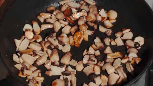 用烹调用油在盘子里煎碎的蘑菇- -关门 — 图库视频影像