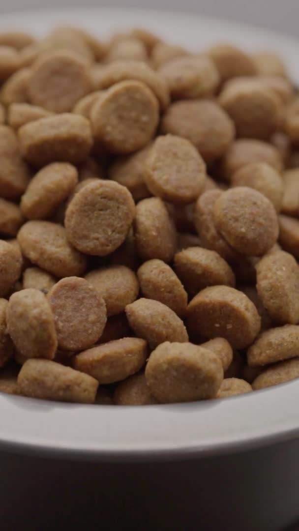 Macro UHD do alimento seco saudável para cão ou gato em placa no suporte rotativo. Alimentos secos para animais de estimação rotativos. Nutrição para Gatos e Cães — Vídeo de Stock