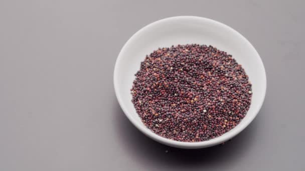 Sementes de quinoa vermelho despeje em tigela no fundo de concreto cinza — Vídeo de Stock