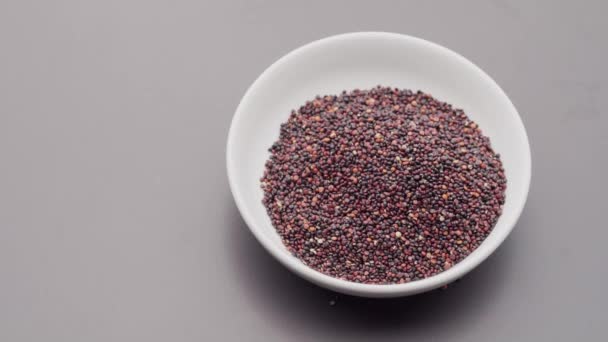 Red quinoa seeds pour in bowl on gray concrete background — Stock Video