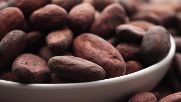 Fagioli di cacao. Macro, fagioli di cacao in arrivo al rallentatore la fotocamera. — Video Stock