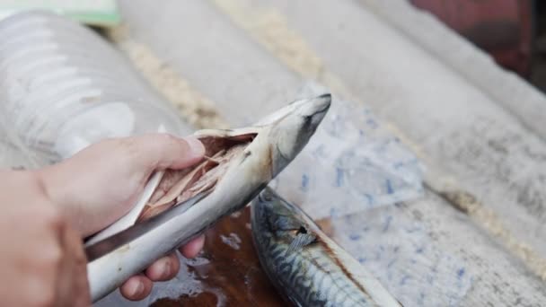 Chef corta cru cavala sem cabeça com uma faca em uma placa de corte — Vídeo de Stock