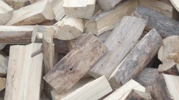 Un uomo impila legna da ardere ordinatamente per prepararsi per l'inverno. Prove 422 — Video Stock