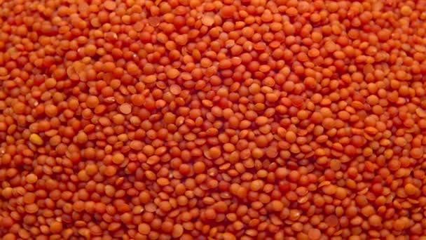 red lentils top view rotating. ProRes 422