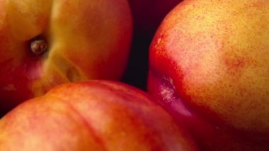 Doğal ışık altında çekilen taze nektarin iğnesi. 4k ProRes 422