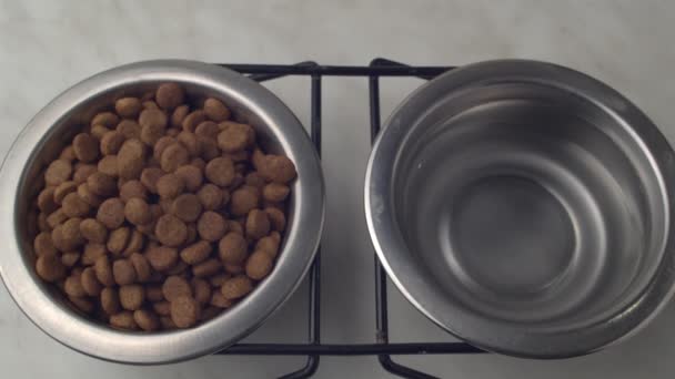 Macro 4K de la comida seca saludable para perro o gato en placas cámara zoom pulg. Alimento seco para mascotas. Nutrición para gatos y perros. ProRes 422 — Vídeos de Stock