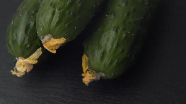 Close-up. Natural ripe green cucumbers . Food background. ProRes 422 4K — Stock Video