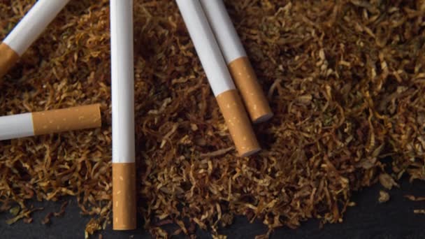 Un montón de tabaco para liar con cigarrillos. Enfoques selectivos.Foco extremo de cerca, metraje macro 4k. — Vídeos de Stock