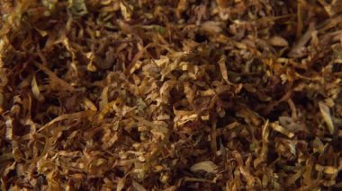 El yapımı tütün yığını. Seçici odaklanma. Tütün aşırı yakın çekim, makro 4K görüntü..