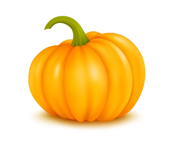 Ilustración vectorial de calabaza grande sobre blanco — Archivo Imágenes Vectoriales