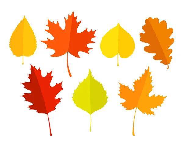 Conjunto de hojas coloridas de otoño . —  Fotos de Stock