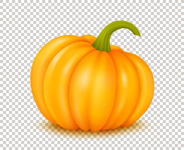 Ilustración vectorial de calabaza grande sobre fondo transparente — Archivo Imágenes Vectoriales