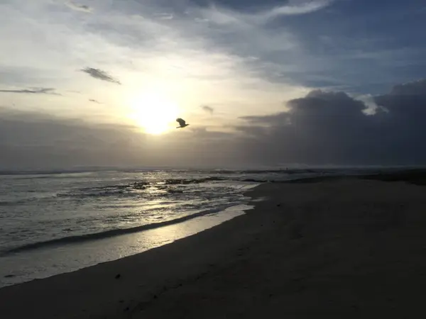 Férias Paraíso Chamado Maurício — Fotografia de Stock