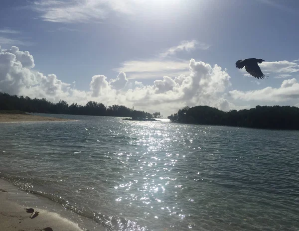 Tatil cenneti: Mauritius