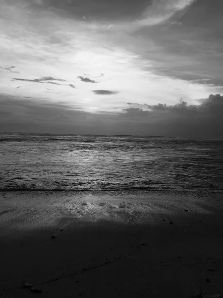 Mauritius mavi gökyüzü, Doğu Yakası