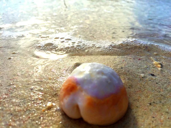 Mauritius kıyısında mermiler