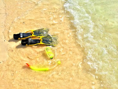 Mauritius adalarında şnorkelli yüzme keyfini çıkarın