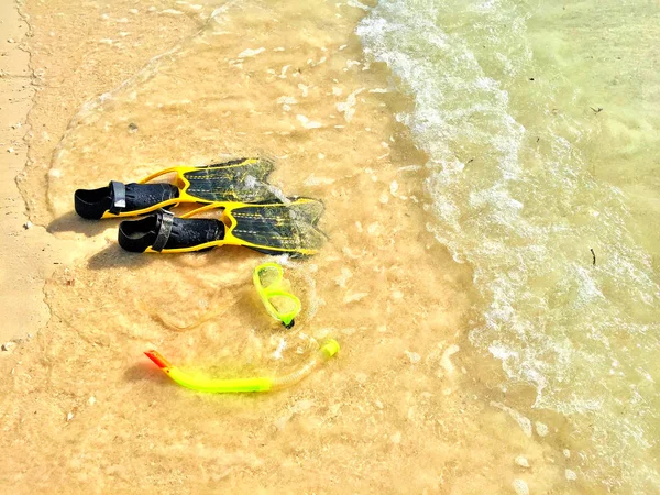 Mauritius adalarında şnorkelli yüzme keyfini çıkarın