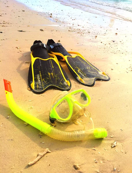 Güzel Mauritius adasında şnorkelli yüzme