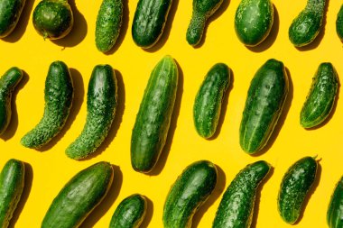 Farklı boyutlarda açık sarı bir arka plan üzerinde salatalık desen oluşturur. Kopyalama alanı.