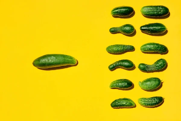 Salatalık liderlik, takım çalışması, baş ve alt çalışanlar, lider ve toplum sembolize.