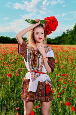 Yeşil buğday ve yabani haşhaş bir alanda beyaz kısa elbiseli uzun saçlı sarışın genç kadın.