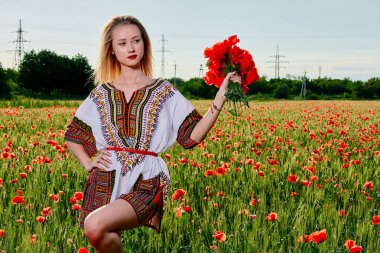 Yeşil buğday ve yabani haşhaş bir alanda beyaz kısa elbiseli uzun saçlı sarışın genç kadın.