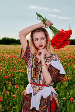 Yeşil buğday ve yabani haşhaş bir alanda beyaz kısa elbiseli uzun saçlı sarışın genç kadın.