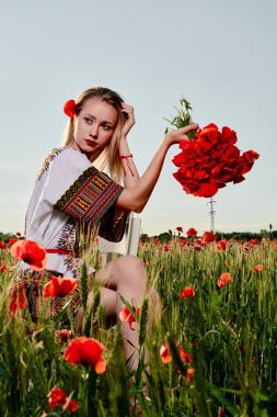 Yeşil buğday ve yabani haşhaş bir alanda beyaz kısa elbiseli uzun saçlı sarışın genç kadın.