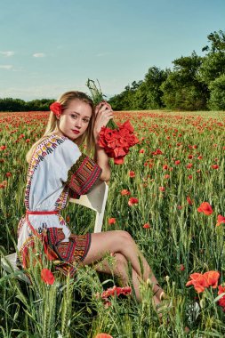 Yeşil buğday ve yabani haşhaş bir alanda beyaz kısa elbiseli uzun saçlı sarışın genç kadın.