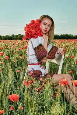 Yeşil buğday ve yabani haşhaş bir alanda beyaz kısa elbiseli uzun saçlı sarışın genç kadın.