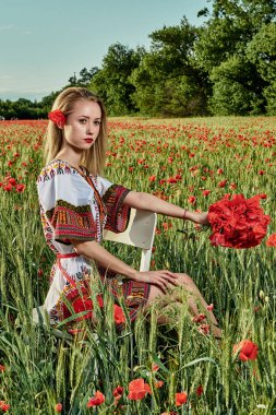 Yeşil buğday ve yabani haşhaş bir alanda beyaz kısa elbiseli uzun saçlı sarışın genç kadın.