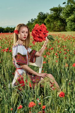 Yeşil buğday ve yabani haşhaş bir alanda beyaz kısa elbiseli uzun saçlı sarışın genç kadın.