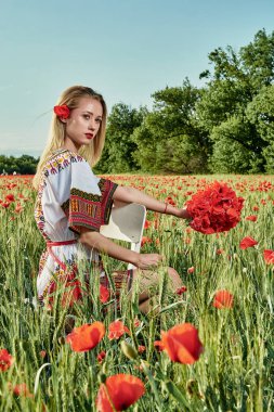 Yeşil buğday ve yabani haşhaş bir alanda beyaz kısa elbiseli uzun saçlı sarışın genç kadın.