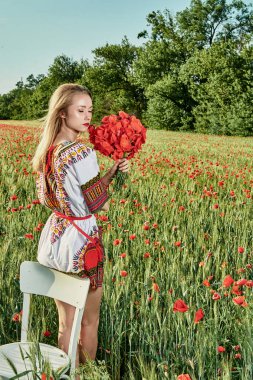 Yeşil buğday ve yabani haşhaş bir alanda beyaz kısa elbiseli uzun saçlı sarışın genç kadın.