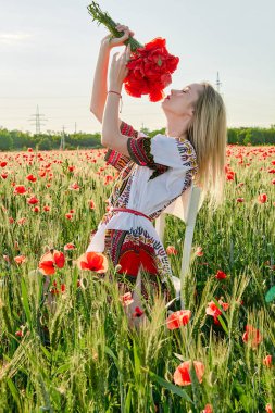 Yeşil buğday ve yabani haşhaş bir alanda beyaz kısa elbiseli uzun saçlı sarışın genç kadın.