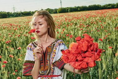 Yeşil buğday ve yabani haşhaş bir alanda beyaz kısa elbiseli uzun saçlı sarışın genç kadın.