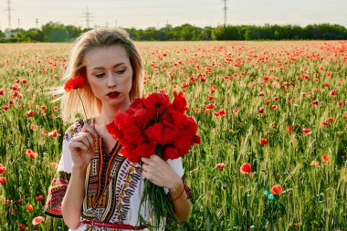 Yeşil buğday ve yabani haşhaş bir alanda beyaz kısa elbiseli uzun saçlı sarışın genç kadın.