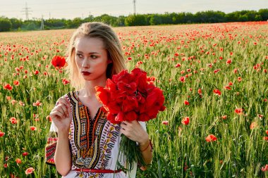 Yeşil buğday ve yabani haşhaş bir alanda beyaz kısa elbiseli uzun saçlı sarışın genç kadın.